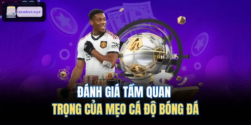 Phân tích vai trò quan trọng của mẹo cá độ bóng đá